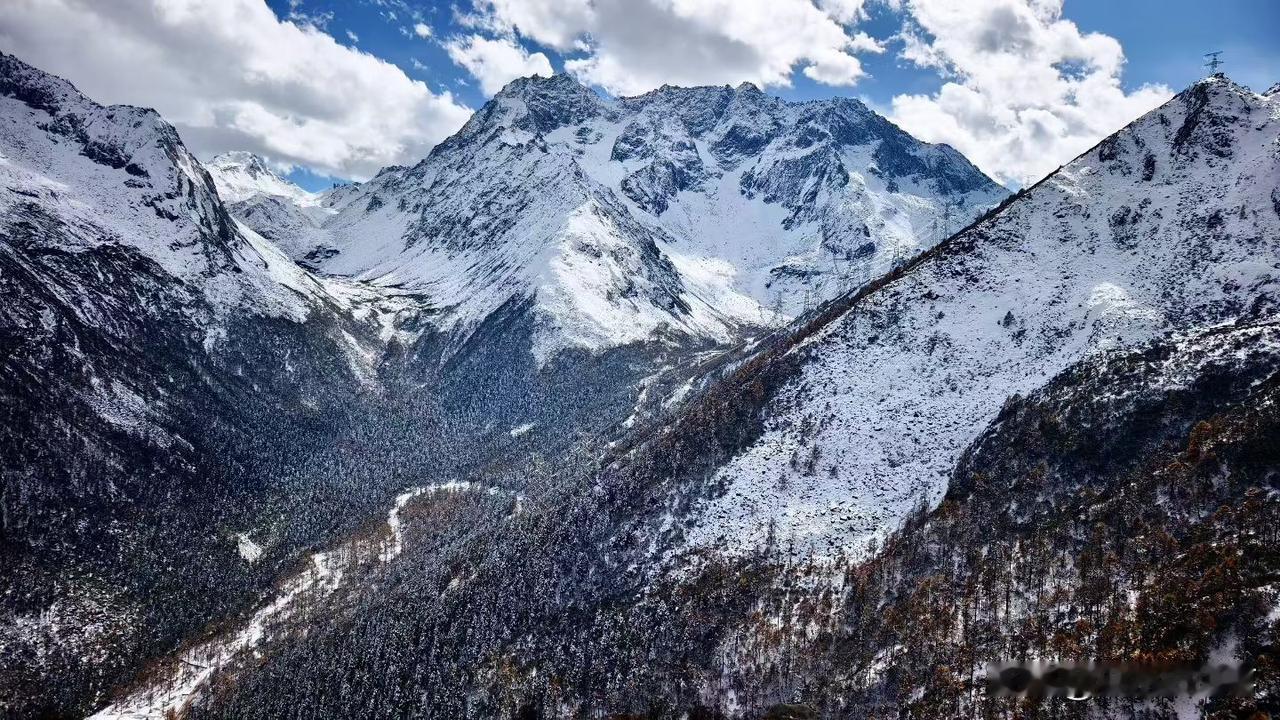 郑州街头拾忆:两个相对而行的骑手干架了！昨天上午十点左右，在郑州市街头看到令人