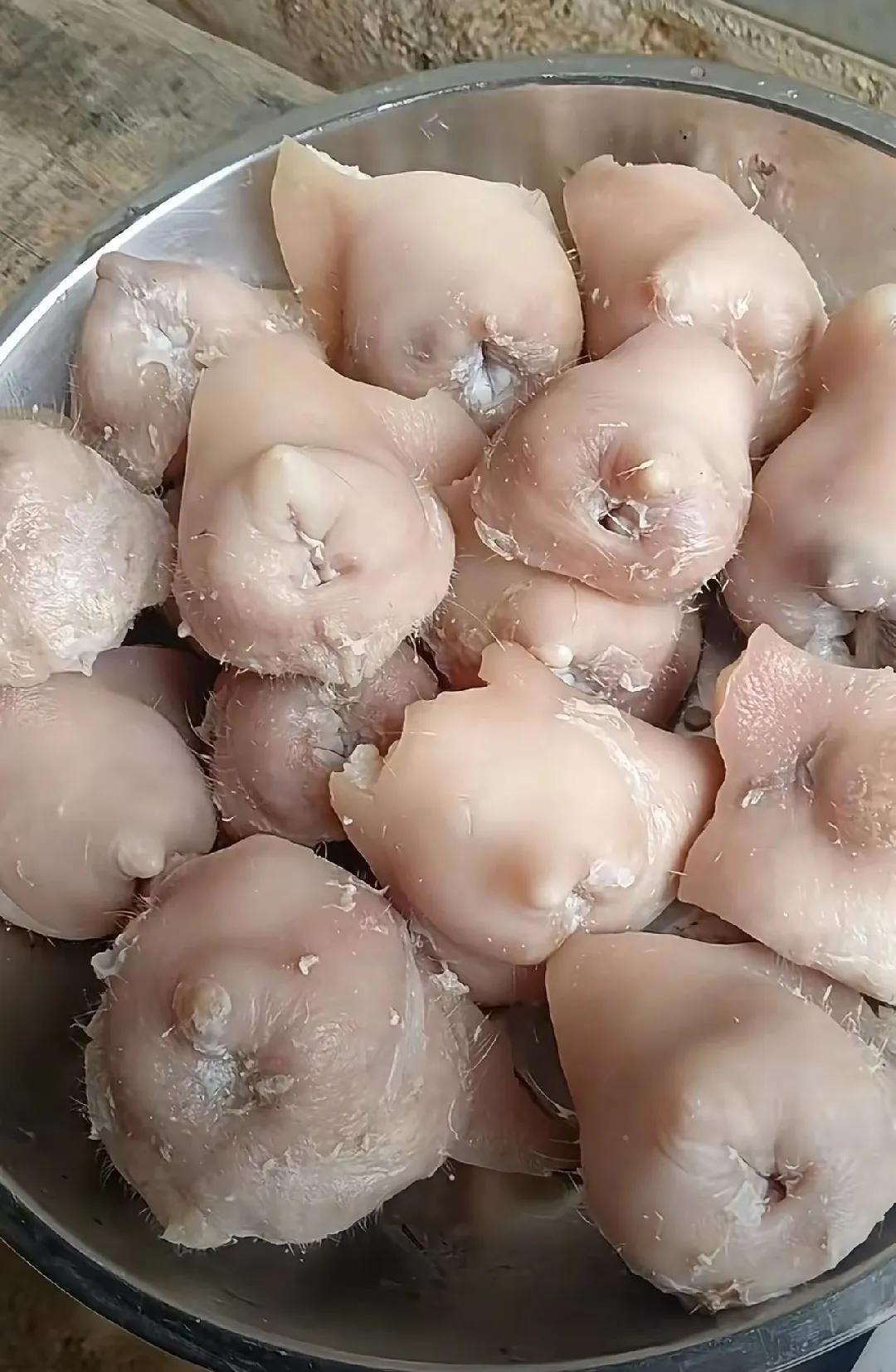 我同事广西老表单身，但最喜欢吃一些我个人认为是稀奇古怪的东西，他昨天跟他在屠宰场