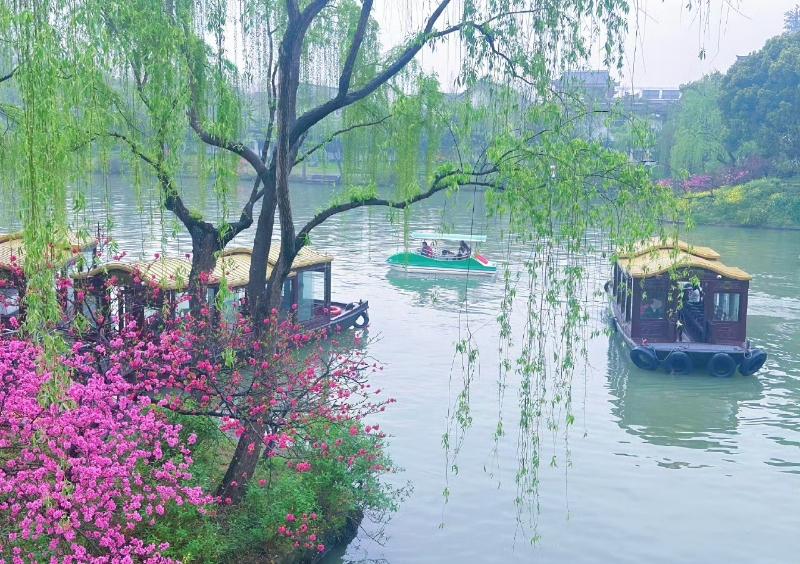 春天的西湖美景如诗，桃红柳绿，百花争艳，游人如织，构成了一幅美丽的画卷。春天