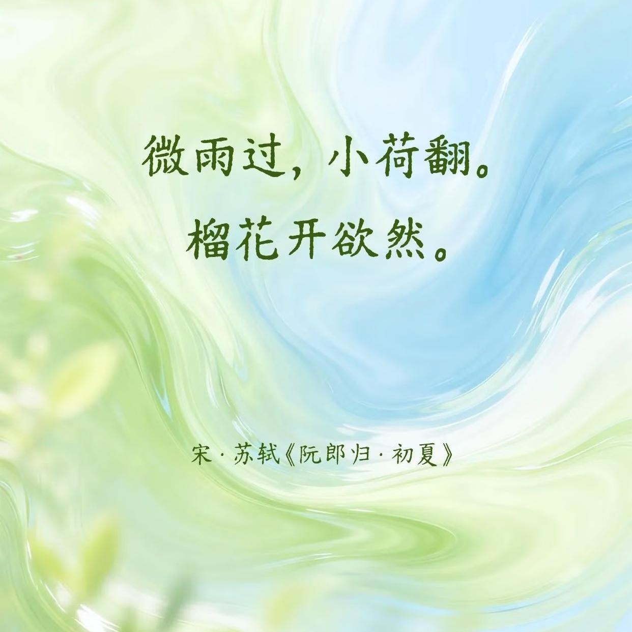 宋词里的清凉初夏，美了一千年～1️⃣“微雨过，小荷翻。榴花开欲然”出自苏轼的