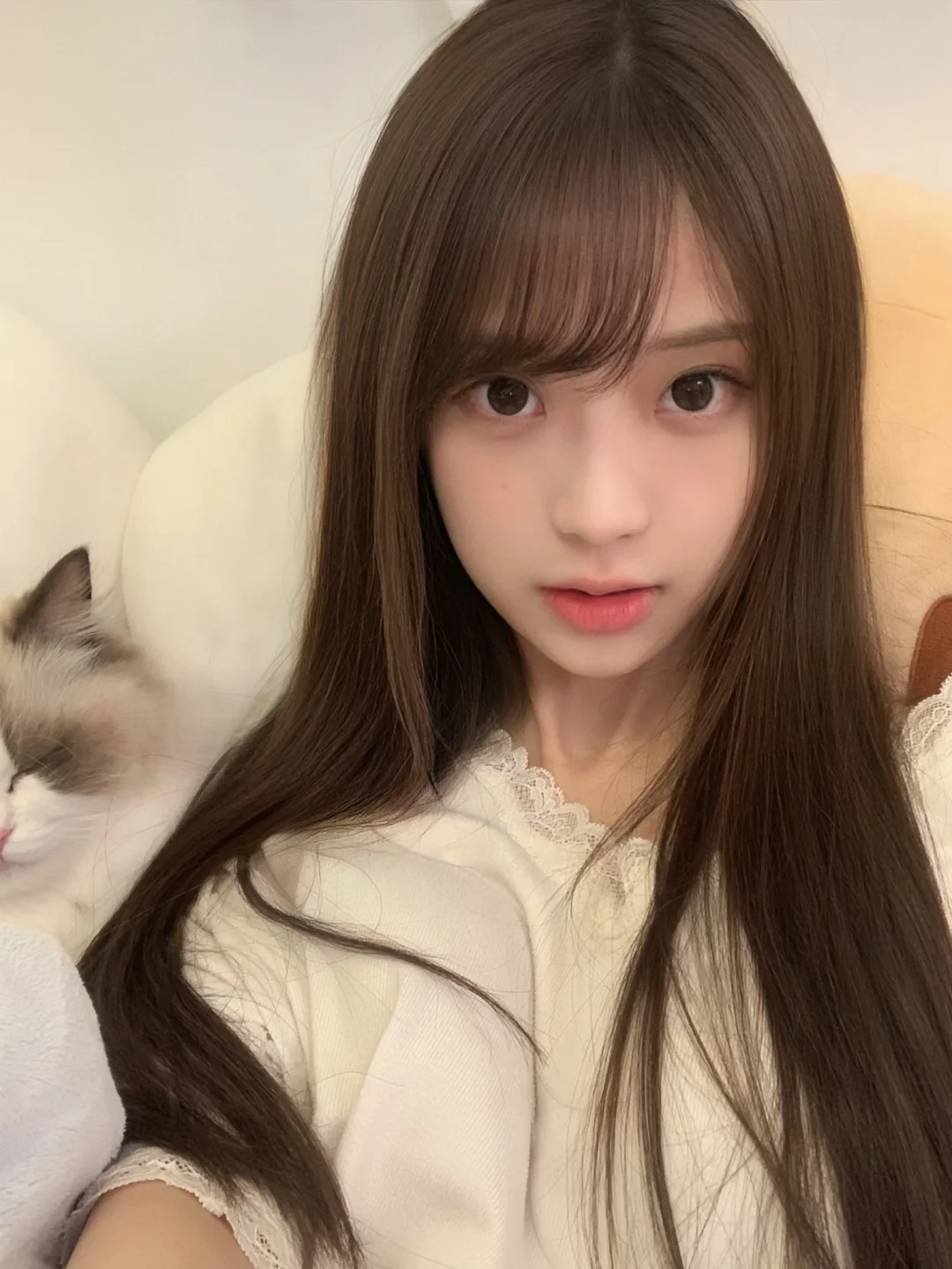 谁的猫猫在旁边？！🐱