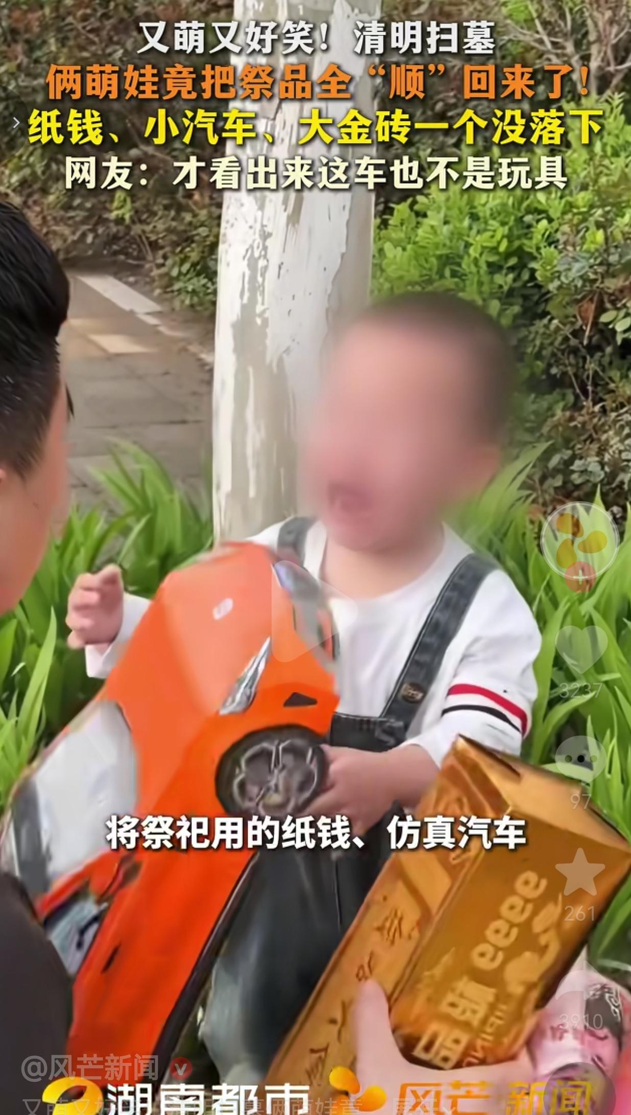 笑疯了！谁能想到，清明扫墓大人正缅怀先人，俩娃直接上演一出“满载而归”，把给祖宗