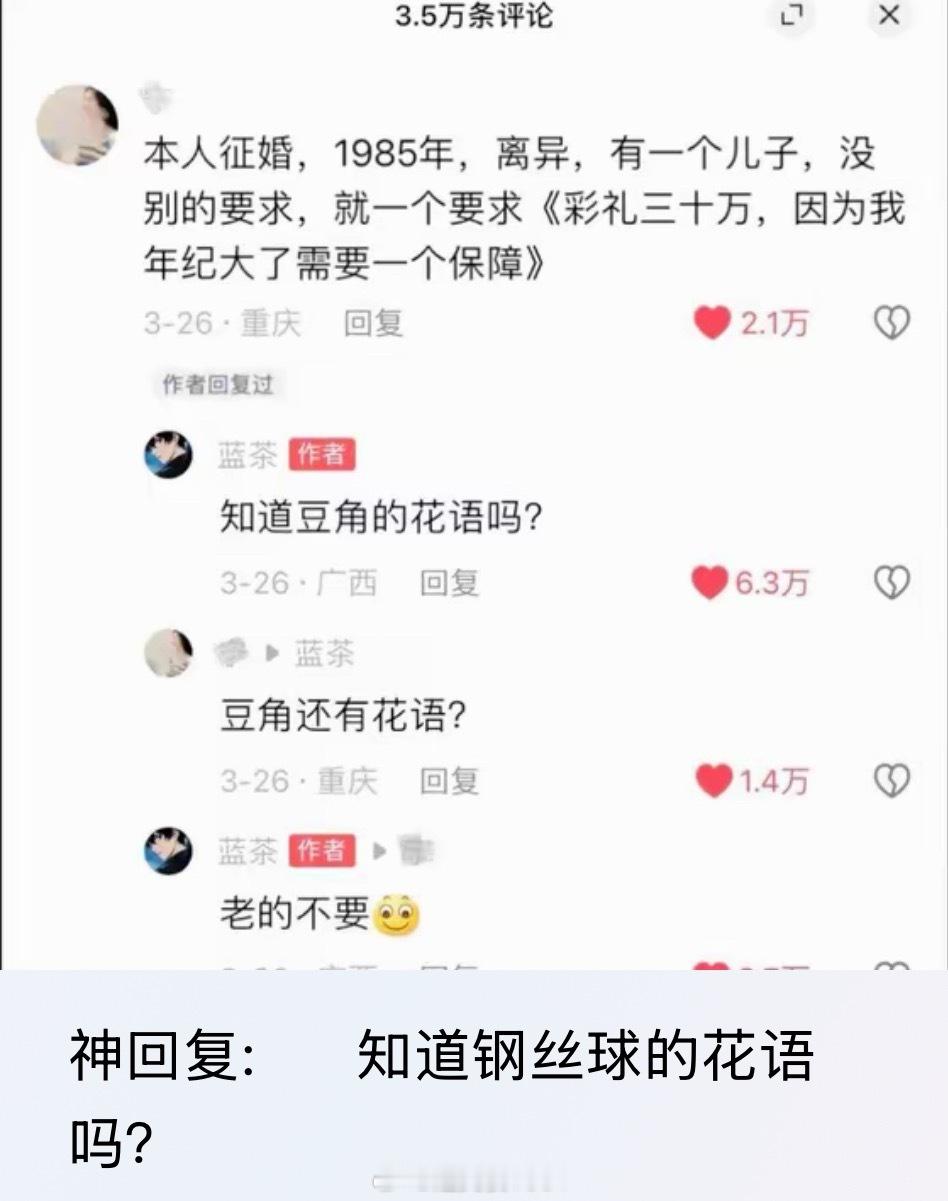 钢丝球的花语：烂了的也不要