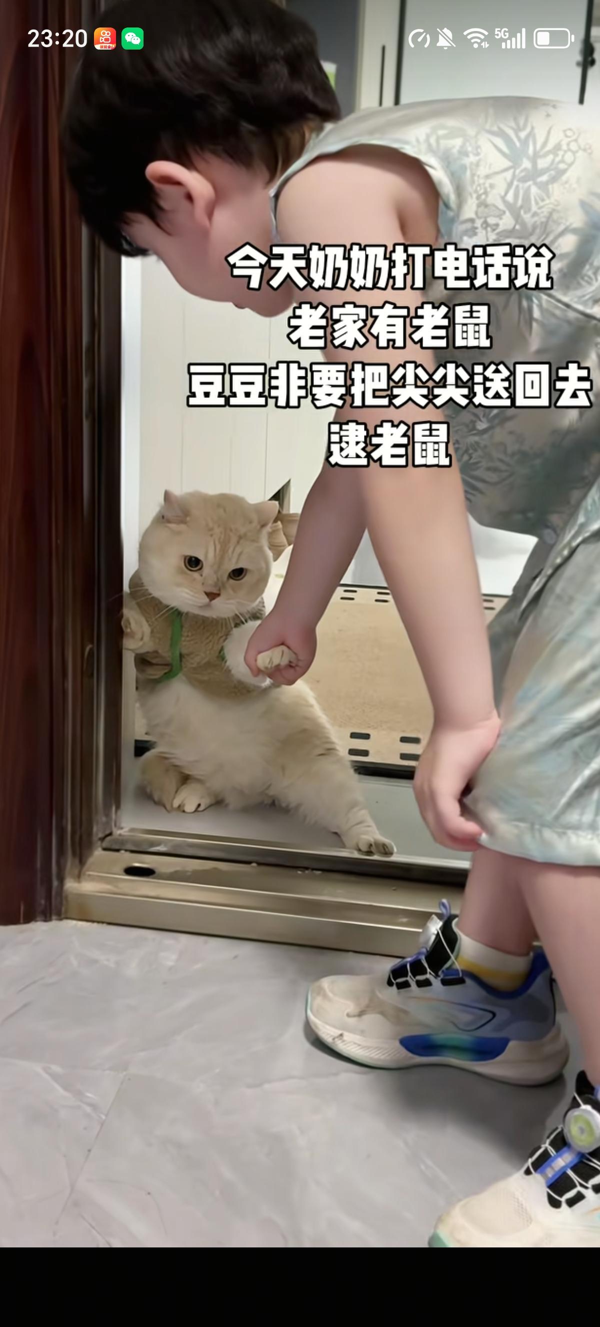 小男孩一听奶奶说老家有老鼠，就兴冲冲的要拉着自家猫回乡下逮老鼠去，拽着猫一只爪子
