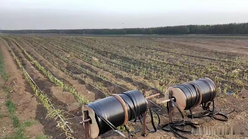 内蒙古100万亩高标准农田，每亩补贴3850元1亩地国家补3000，市里再补8