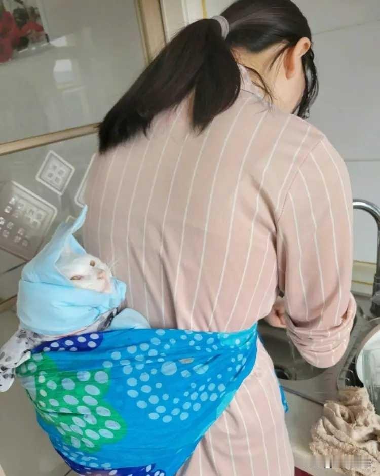 30岁侄女不婚不育，却把猫宠成孩子：是逃避责任还是重新定义家庭？给猫买口粮、