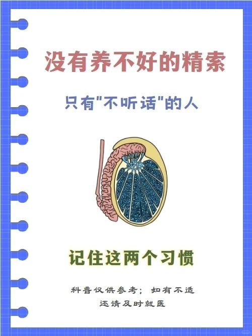 没有养不好的精索，牢记2个习惯，DD健康