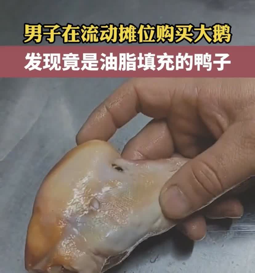 黑龙江鸡西，男子看到流动摊位在卖大鹅，走上前询问后，发现价格很合适，就买了一只准