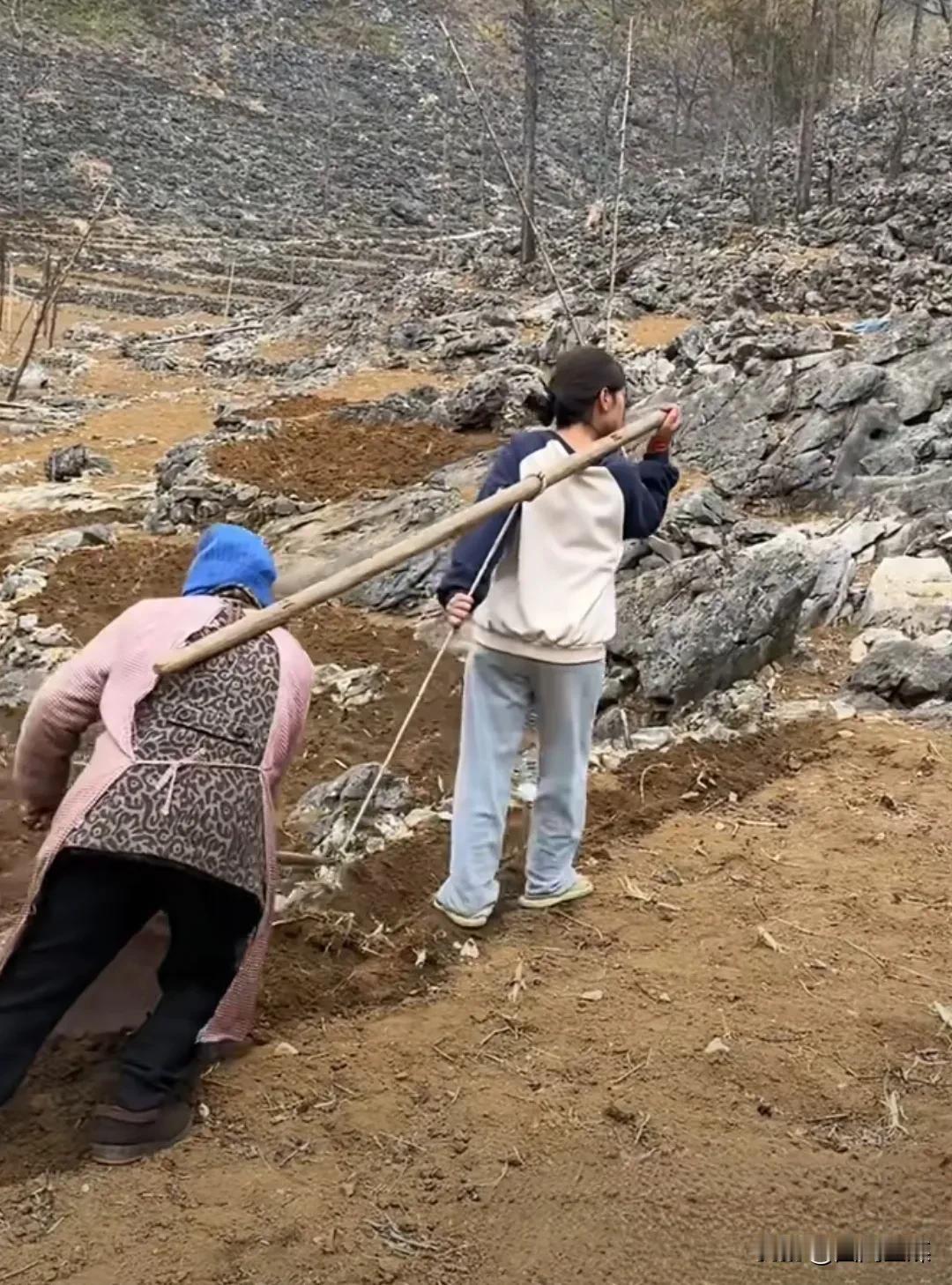 近日，一则关于“广西河池地区村民以人拉犁方式开启春耕”的视频在网络热传，引发各界