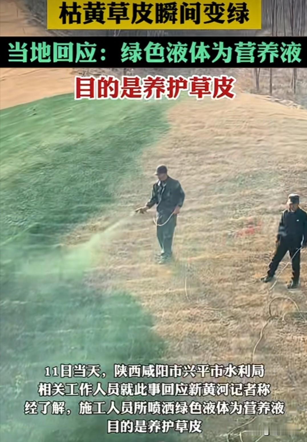 陕西一公园被人工染绿，枯黄草皮瞬间变绿，引发网友质疑为“喷漆造假！兴平市水利