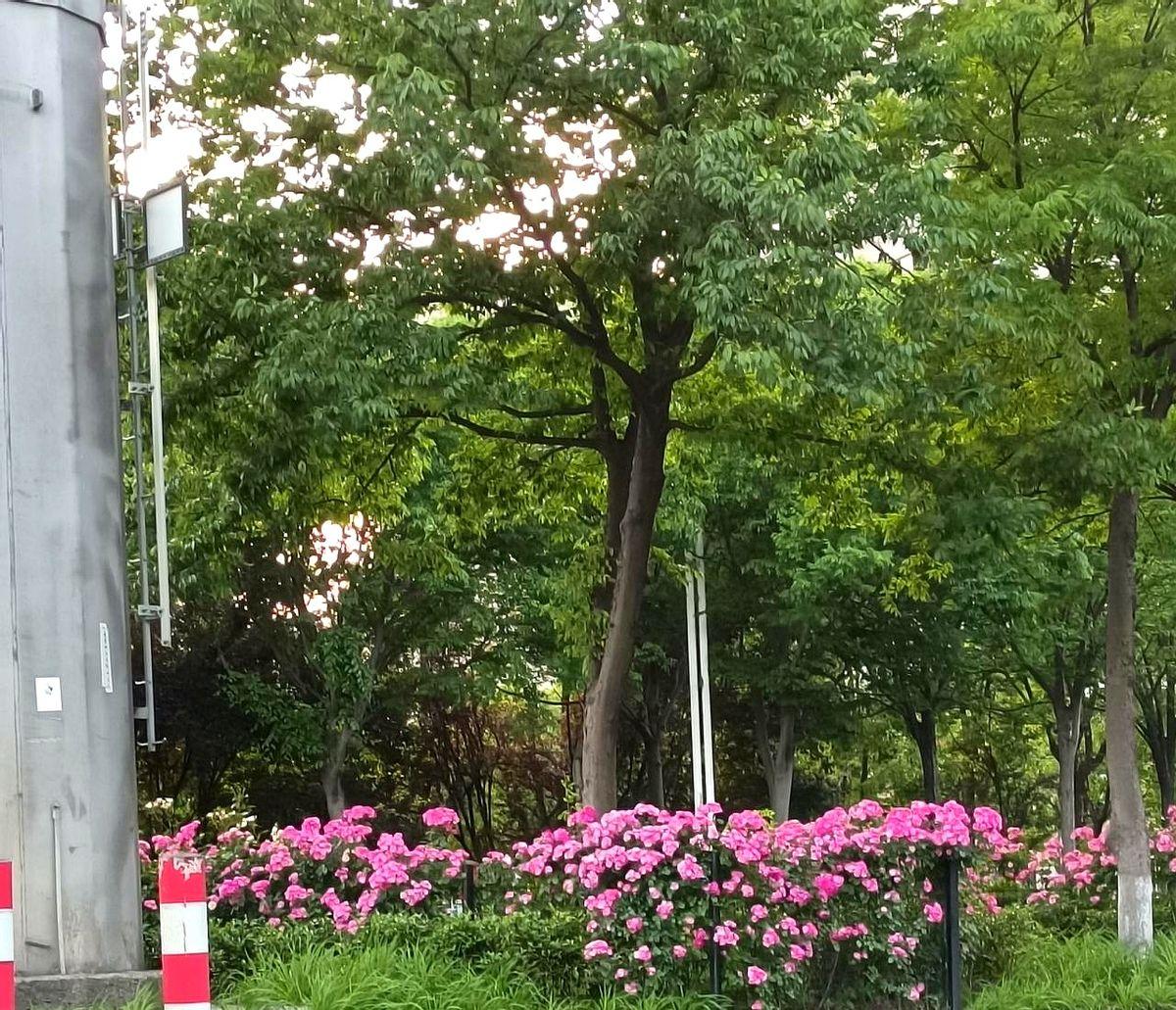 看样子退休人员养老金是不会上调了，时间已来到了7月份。大家都在翻看以前的养老金