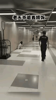 这姑娘太可怜了一个上午己经被餵了快30个馒头！边这些男生怎么这么不解风情明明