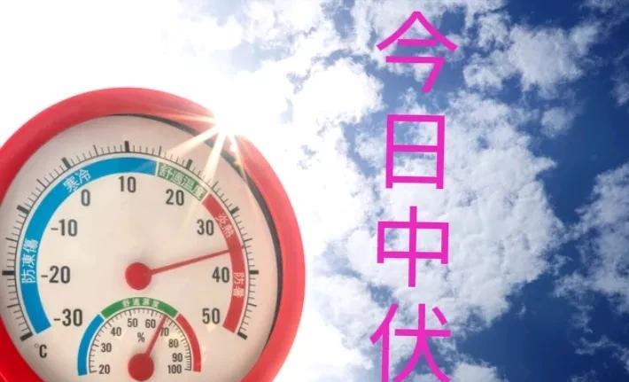 今日入中伏，今年中伏有3个坏消息和2个好消息今天我们当地窗外的知了很早就出来鸣