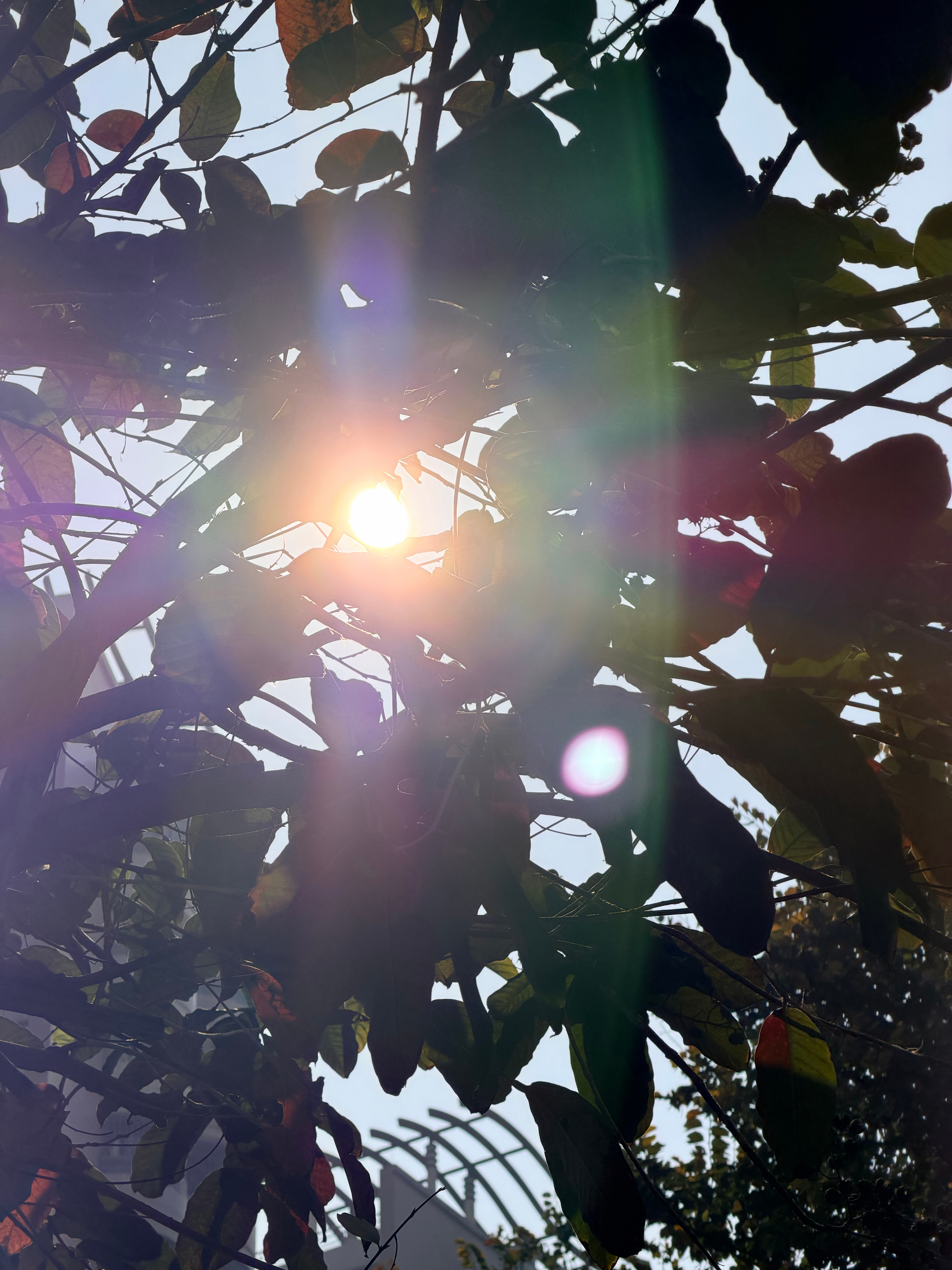 天晴了！又暖和了～