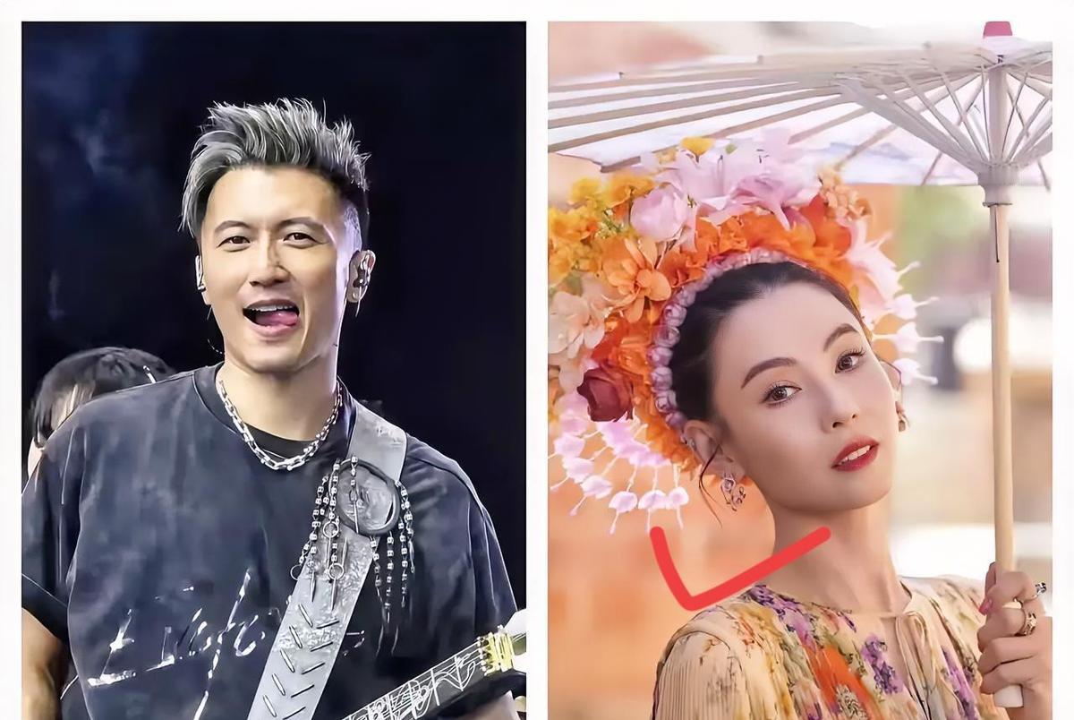 张柏芝没哭没闹,把三个儿子带大了。谢霆锋和王菲安静过日子,谁也不提从前。可街