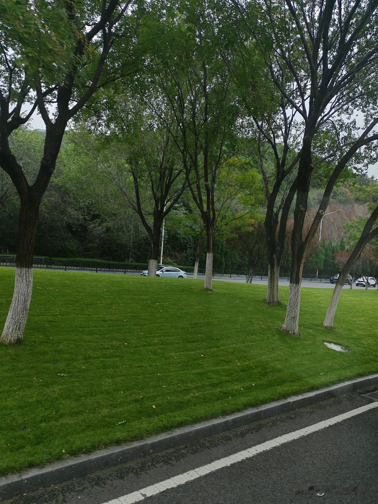 济南排第五，济南人有什么感受吗？一城山色半城湖，济南金景色还是不错的。坐车走了