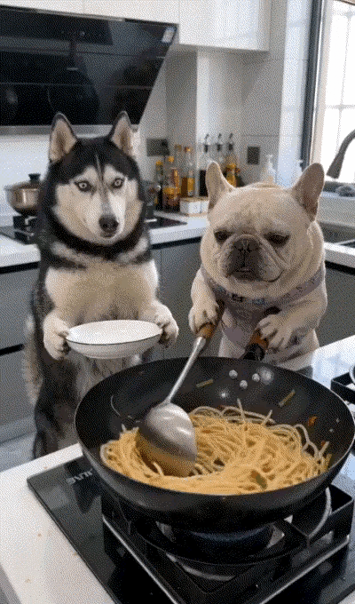 救命！现在的AI特效已经疯到这种程度了吗？😂视频里简直离谱到家：一只狗