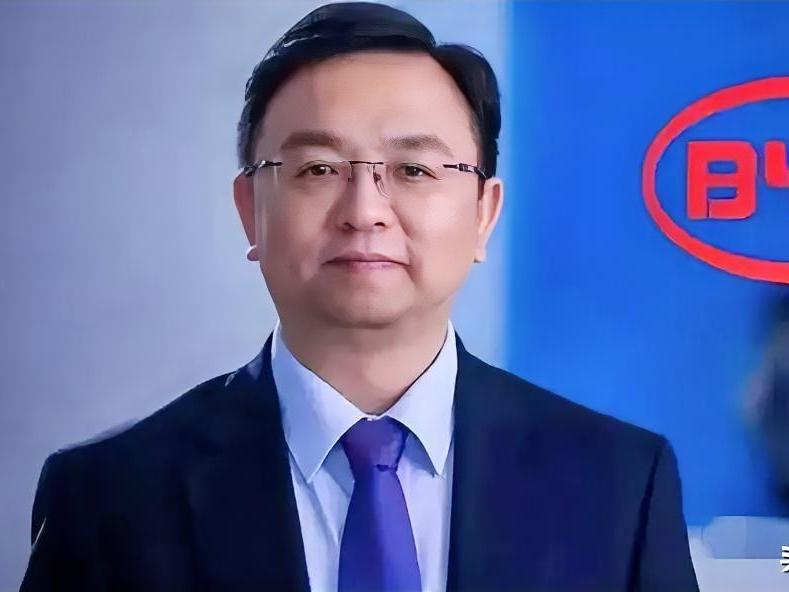 比亚迪全球化大扫描——成绩不说没不了，问题不提不得了。比亚迪董事长王传福
