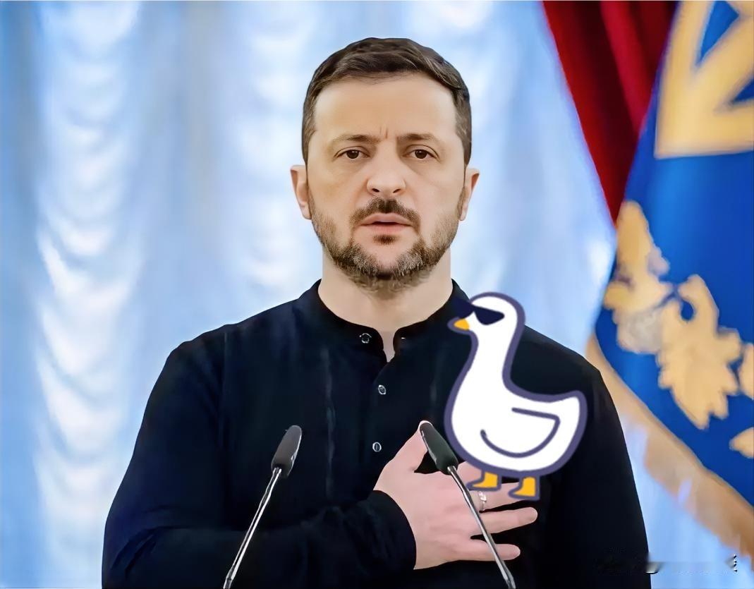 早就该下台了，他已经把乌克兰拖垮了。泽连斯基这些年带着乌克兰打仗，养着这么多雇佣