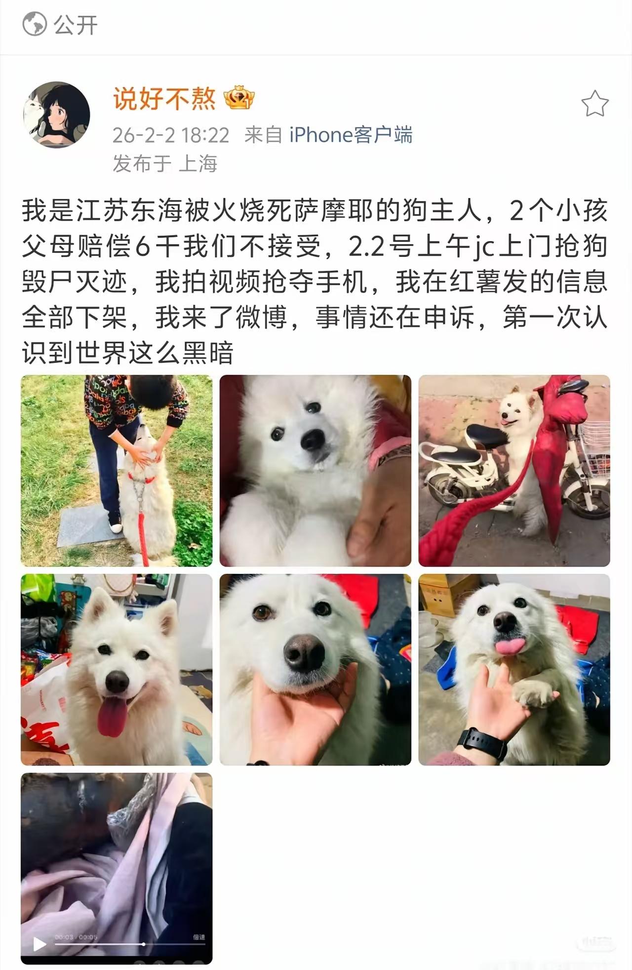 养狗地方不对，这是公共区域，不是自己家里，你在自己家里养，不会出现这情况，狗主人