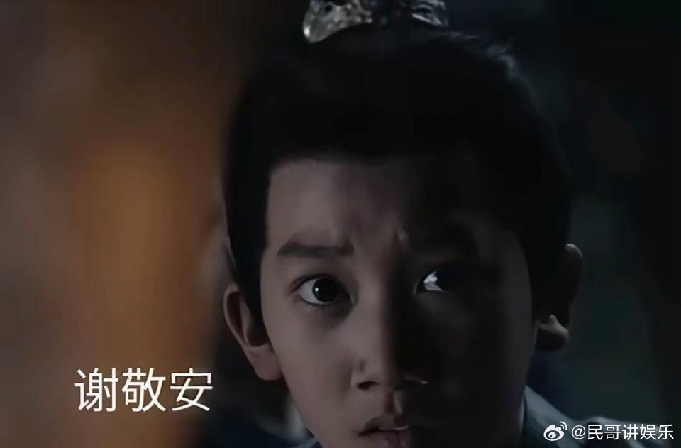 《桃花映江山》有一点我不明白，当初谢家满门被灭，谢敬安却顶着沈在野的身份活了下来
