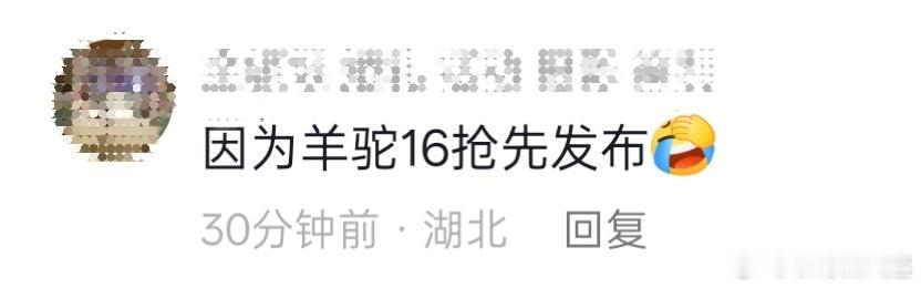 有人说小米16改名17都是因为小驼16提前发布导致的，看来要怪[捂脸哭]​​​