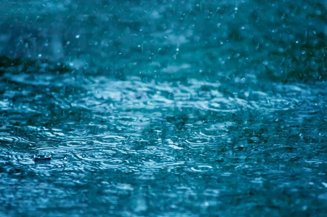 今起, 大风降温、暴雨! 紧急提醒→