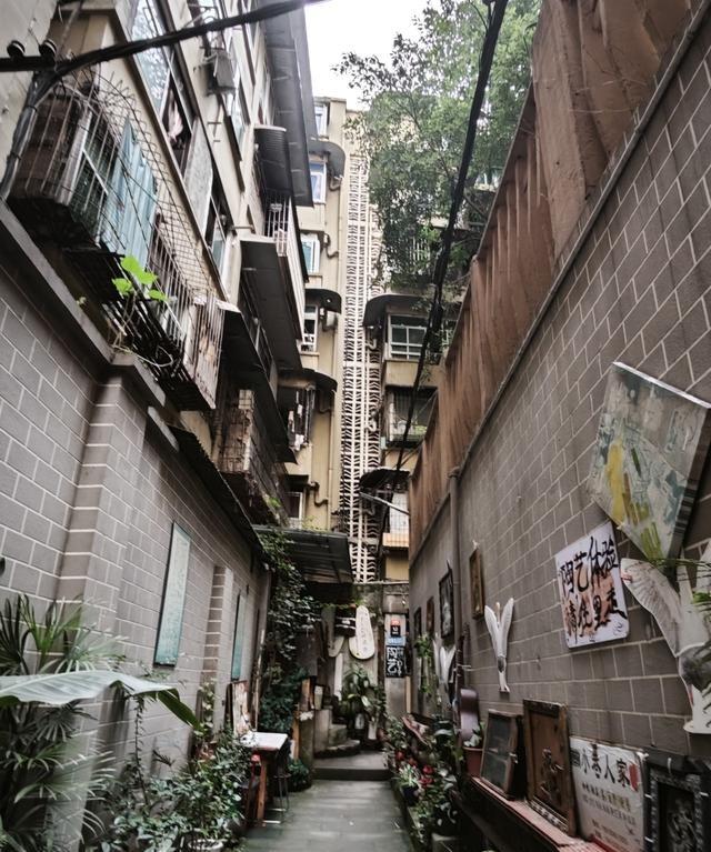 那天晚上刷手机，我正瘫在客厅沙发上挠着被蚊子咬的脚踝，随手翻同城消息。合肥蜀山区