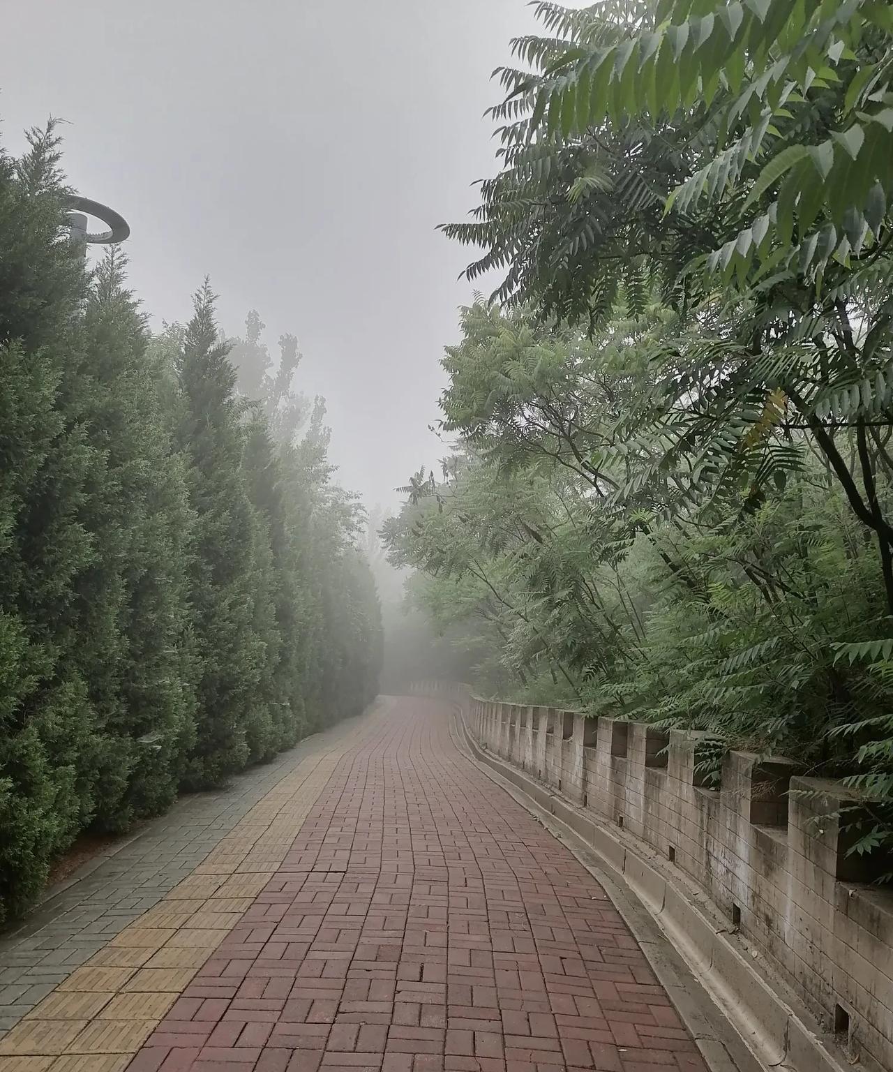 2025年的三伏天终于结束了。今天是出伏第一天，唐山迎来了一场大雨，可以说是瓢