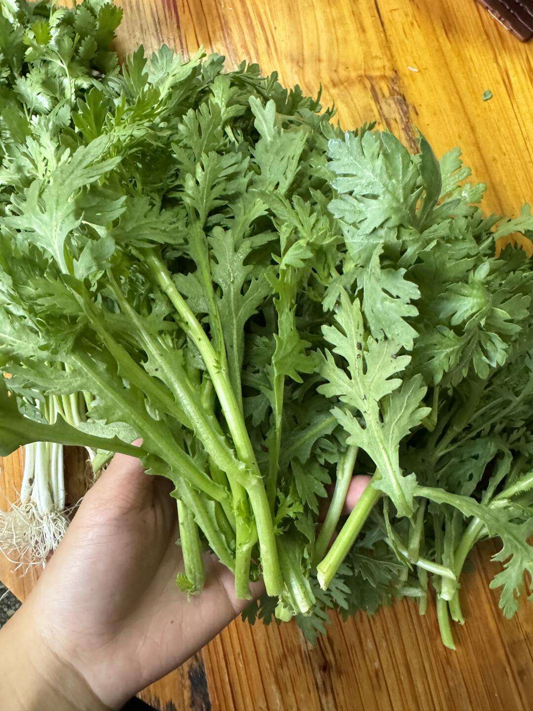 这是什么菜？怎么做好吃呀？