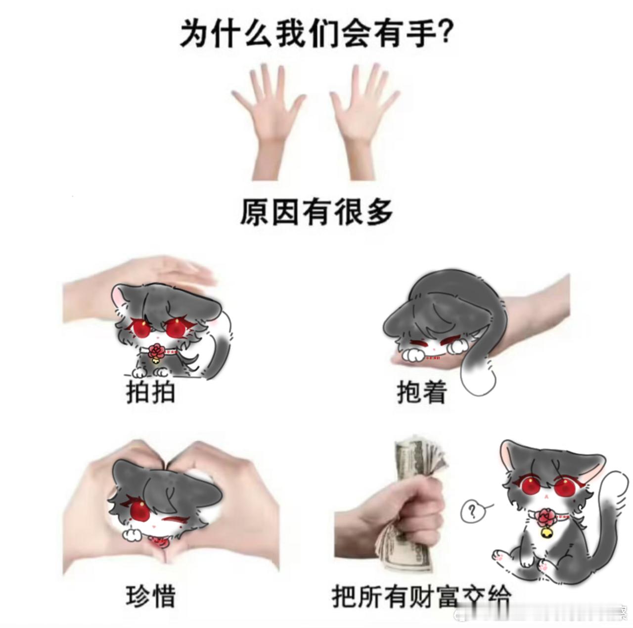 眼睛瞎在小猫上，手也粘在小猫上。脑子用在小猫上，颈椎疼在小猫上。男人花心小猫上