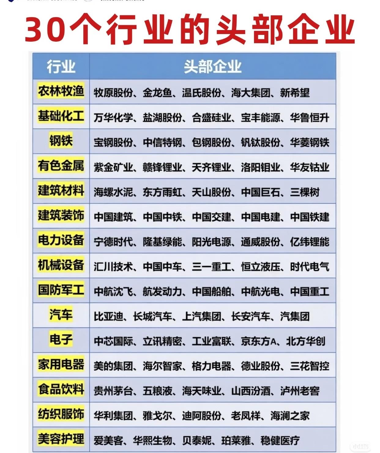 30个行业的头部企业信息，呈现各领域的主要领先公司。第一张图聚焦农林牧渔到美