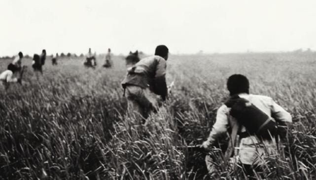 1939年，八路军张智忠，护送黄金途中，遭敌突袭时，带一位战士突围。不料，战士见