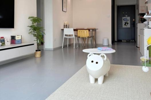 当初装修，我妈非要留一间“客房”，说万一亲戚来了住哪。我没听，直接把那间小次卧改