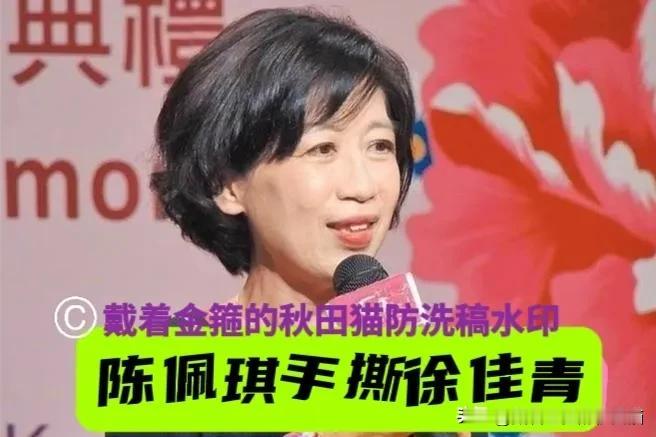 柯文哲老婆陈佩琪晒9天账单手撕徐佳青：你花公款爽游26天，而我全程是自费！岛
