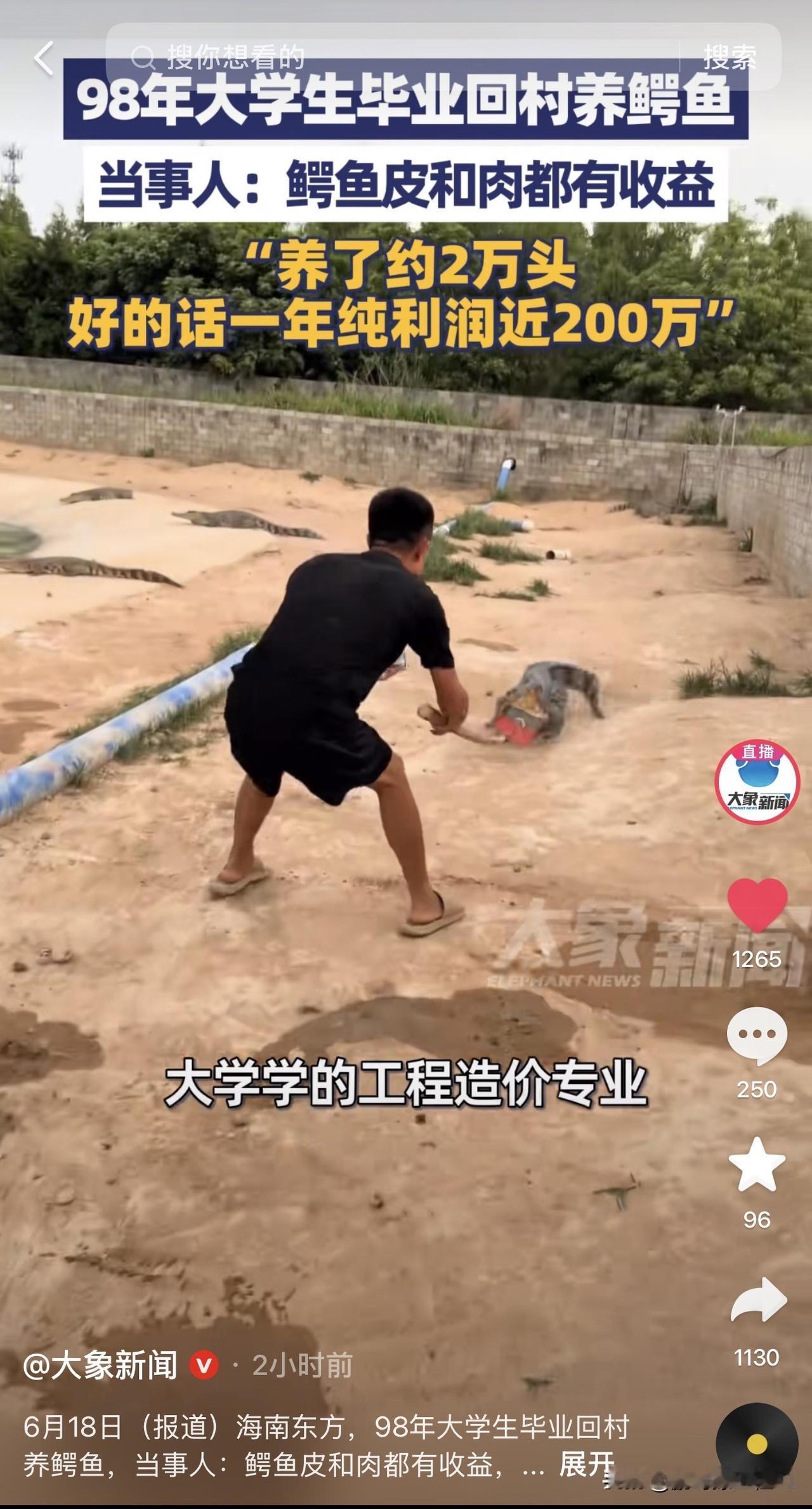 工程造价转行养鳄鱼年入200万！以前算漏了扣工资，现在漏了要喂鳄鱼！98年海南