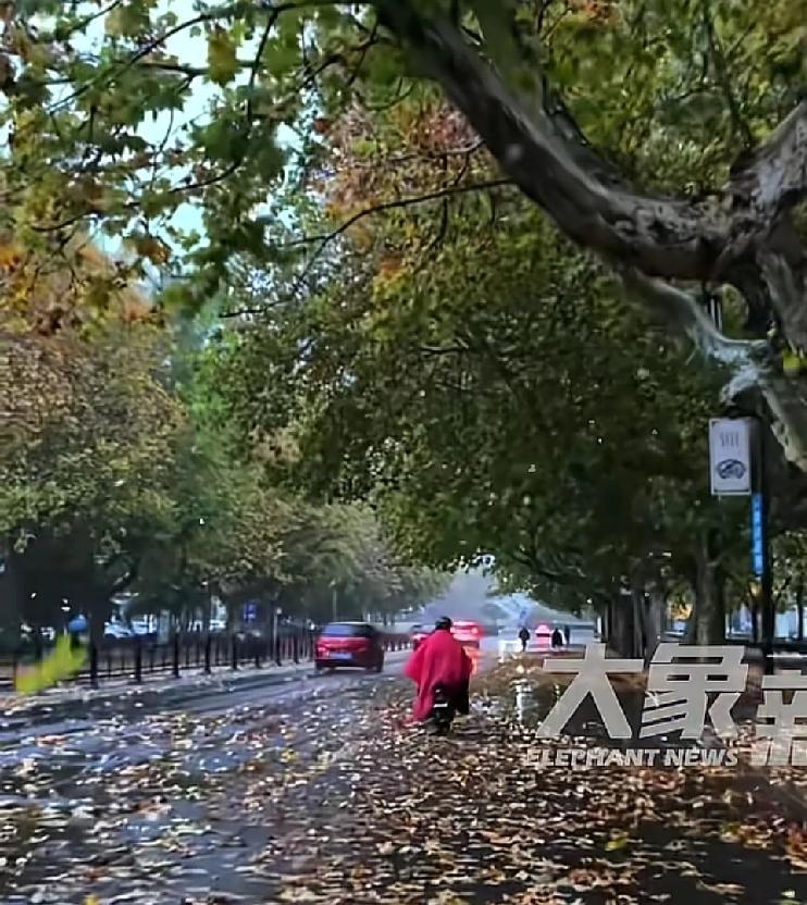 北方的朋友，这个周末一定要带上自己的家人，好好欣赏一下最温暖的冬天相关部门发布