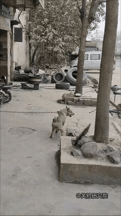 这是典型的杀人还要诛心啊