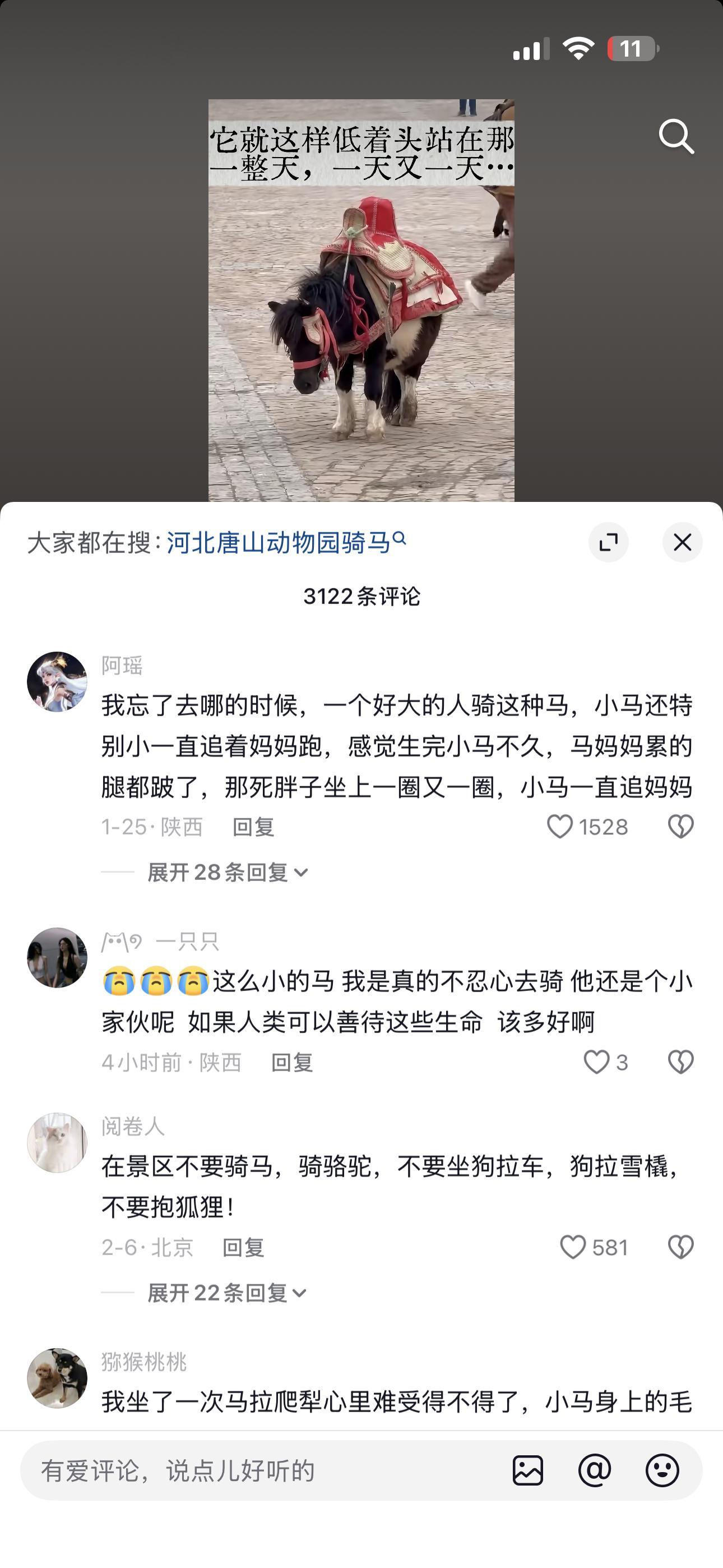 中国什么时候能禁止这些项目真讨厌