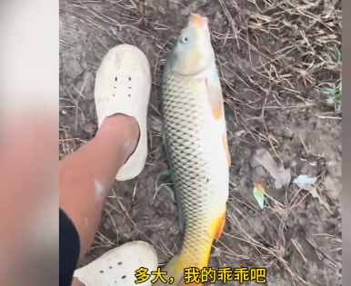 这就是命啊！”近日，河南周口，一位父亲看儿子整天玩手机，为了让他有一个快乐的童年