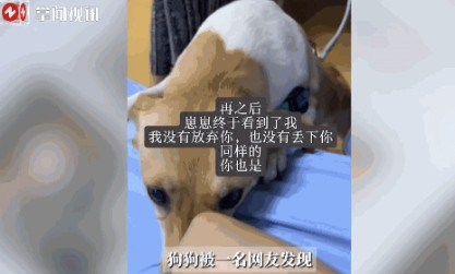 “万物皆有灵！”6月22日，山东，一女子出门遛狗时，不慎出现了车祸意外，救护车赶
