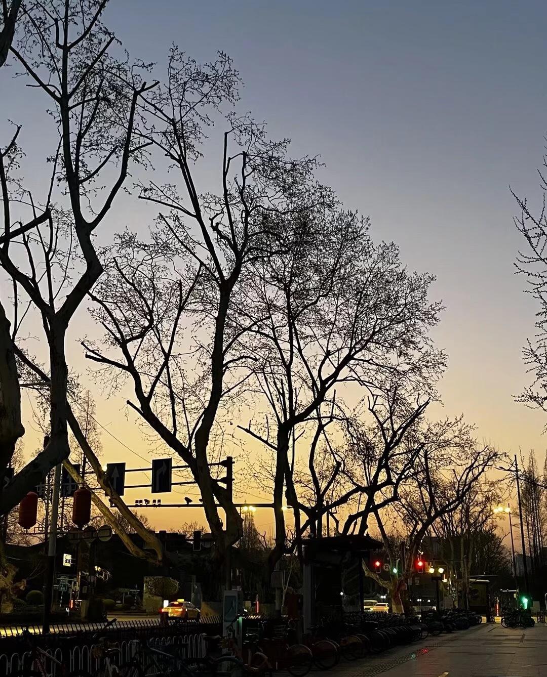 网约车到底好不好跑？这行真没外人想的那么轻松。每天从早到晚盯着手机接单，凌晨