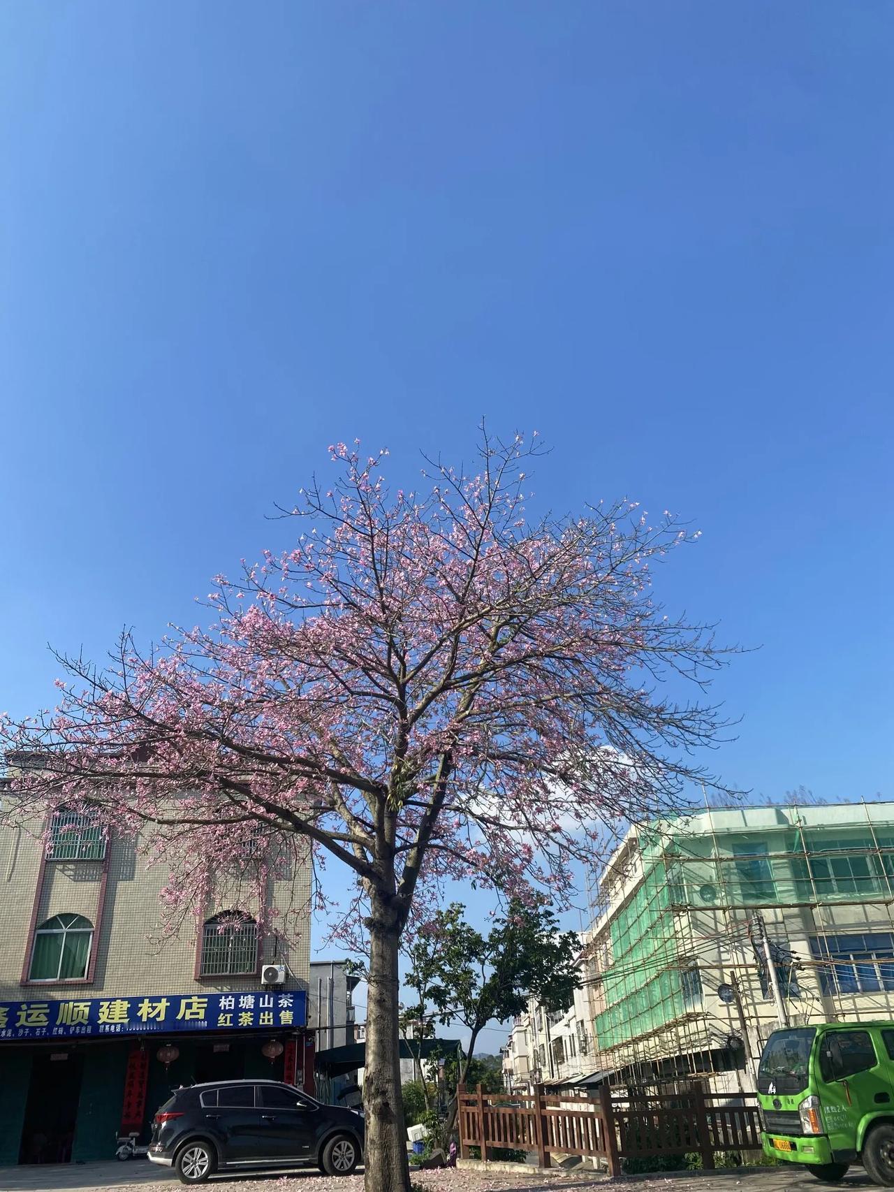 你发现一个问题吗？不上班、没有收入的女人，就算再擅长持家，再为家里劳心劳力，饭菜