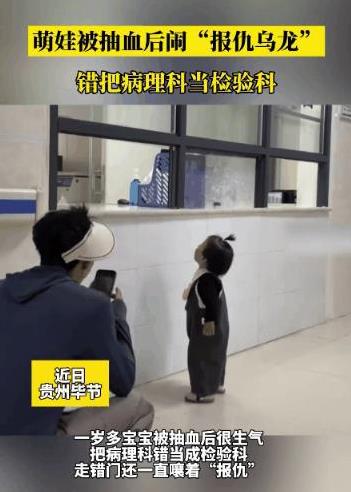 “我要报仇！”贵州一医院里，年仅一岁多的小朋友对着空荡荡的病理科窗口大喊“出来！