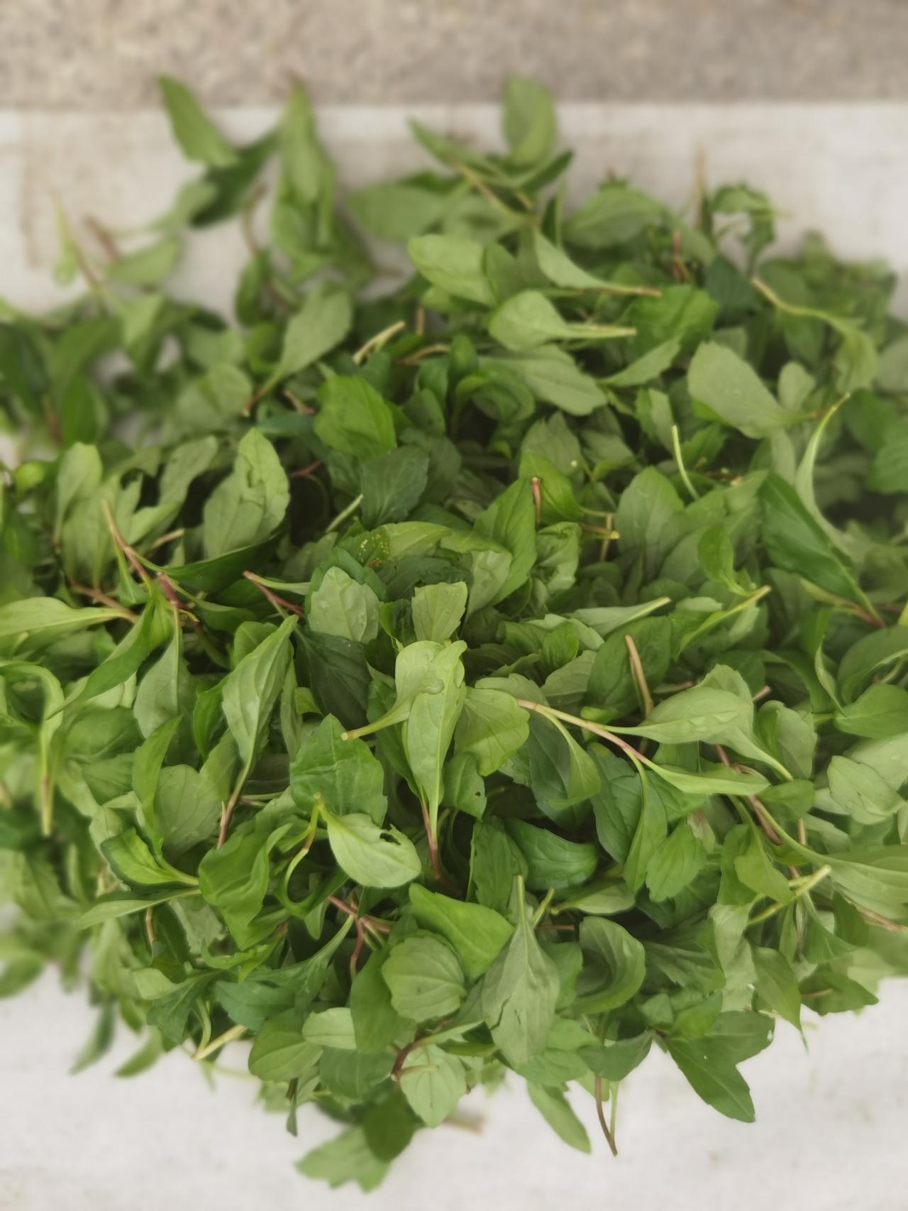 今天路过越英路，发现路口一个老太太摆摊，卖鸭蛋、马兰头、豌豆。豌豆7元一斤，买