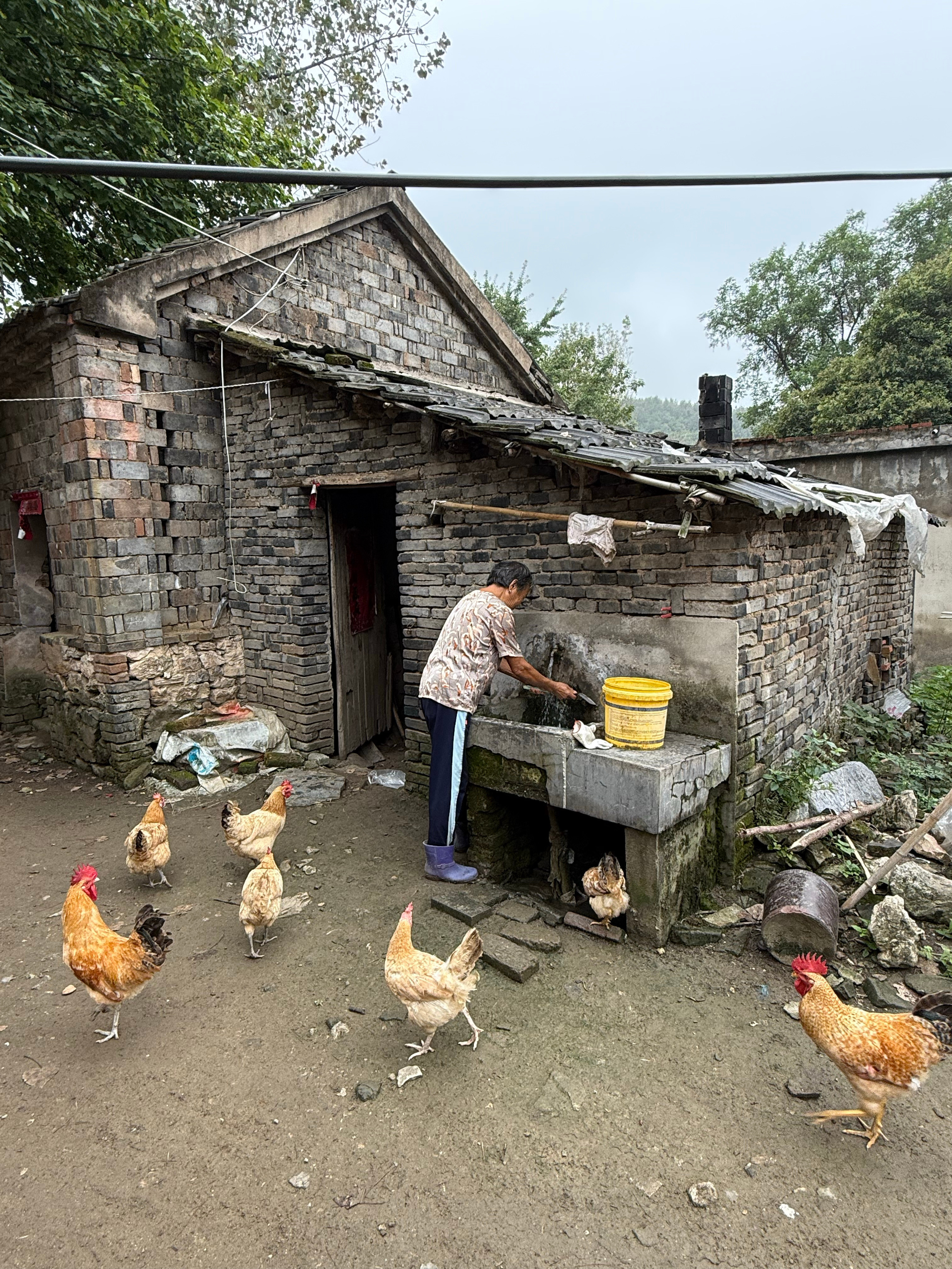分享图片​​​