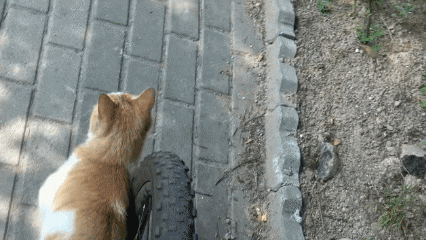 碰瓷是不是？我可都拍着呢啊，大伙可都看着呢