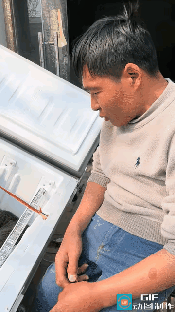 一段猫咪修电器的视频直接笑翻全网，网友直呼：这架势，比专业维修师傅还认真！