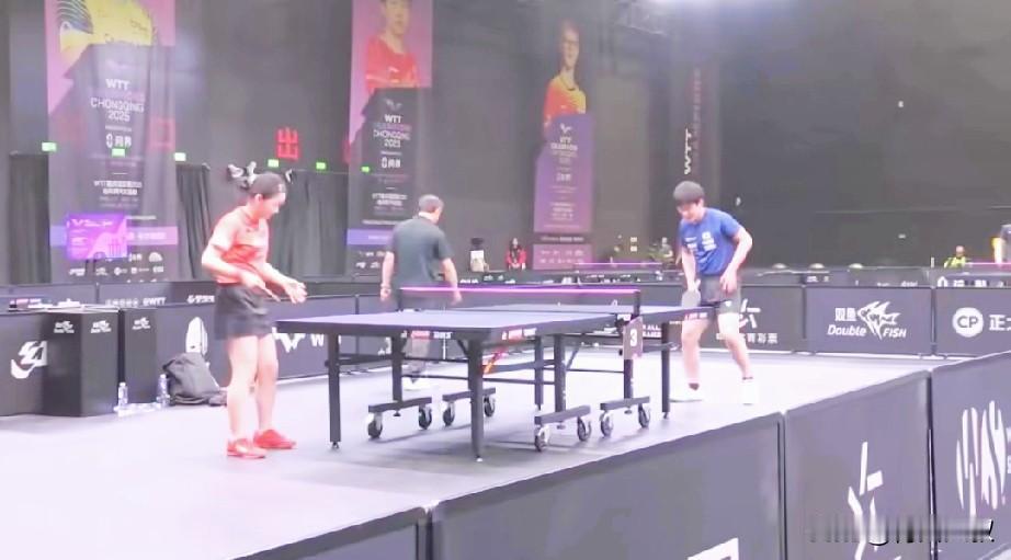 看完张本美和与张本智和的训练，我觉得这对兄妹很快走下坡路了？这次重庆冠军赛，