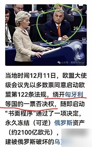 无奈和委屈！​欧盟绕开匈牙利进行投票，通过了永久冻结俄罗斯资产的决议！​